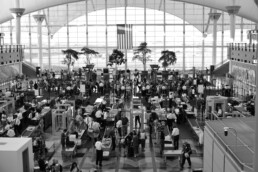 TSA officers screen passengers